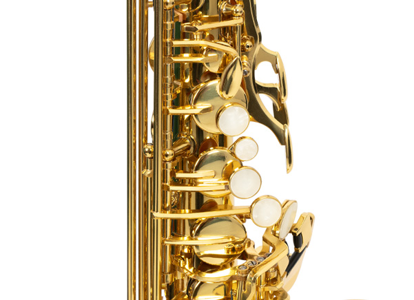 Trevor James The Horn student Eb alto saxophone outfit | Chamberlain Music